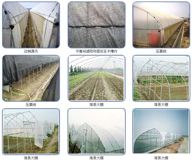固定大棚薄膜，簡易大棚安裝完成