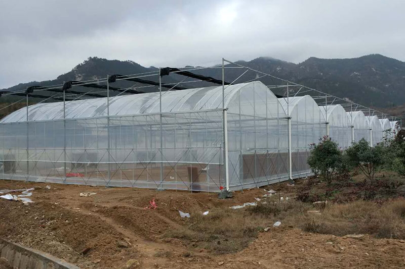 連棟大棚圖片
